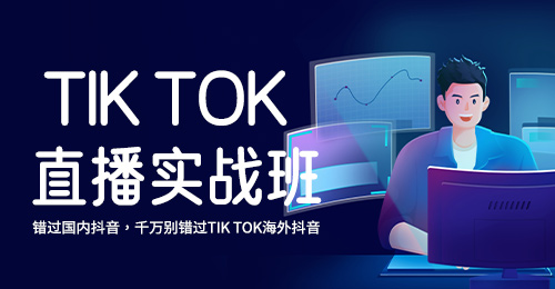 Y8-Tik Tok直播带货实战班-2024年4月13日（双师）